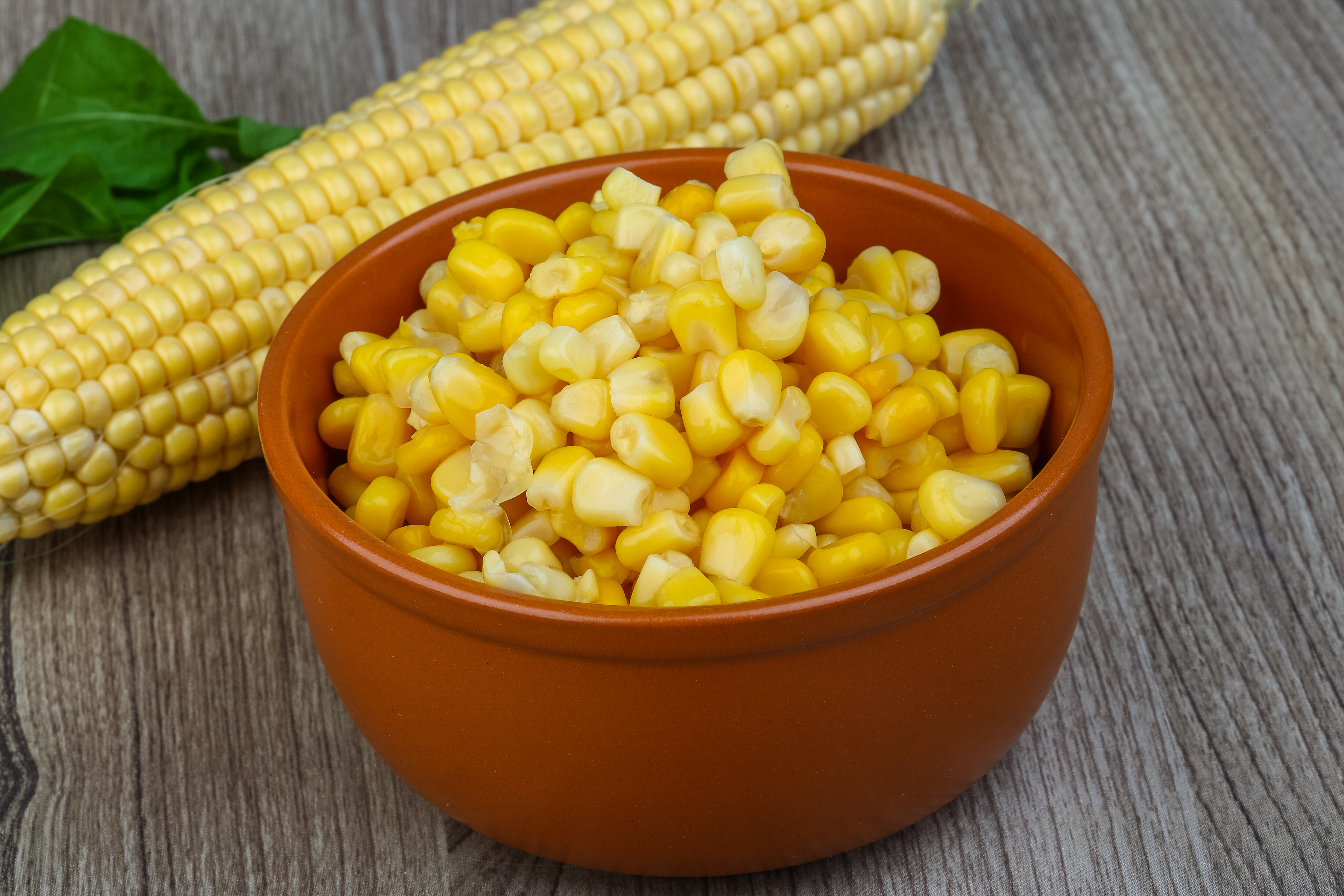 Corn